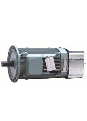 11KW Hoisting Three Phase Asynchronous Motor , 3 Phase Electric Motor YZEJ132M-4