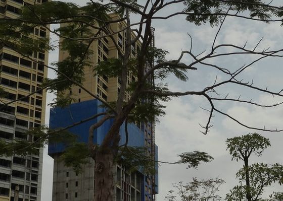 Safety Door Protection 450m Construction Hoist Elevator